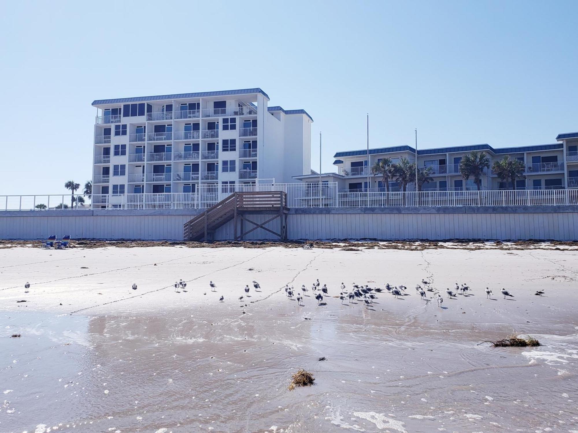 Beachside Bliss Ocean Views & Endless Fun Daytona Beach! Exterior foto